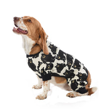 Load image into Gallery viewer, Family Bear Dog Onesie Flapjack
